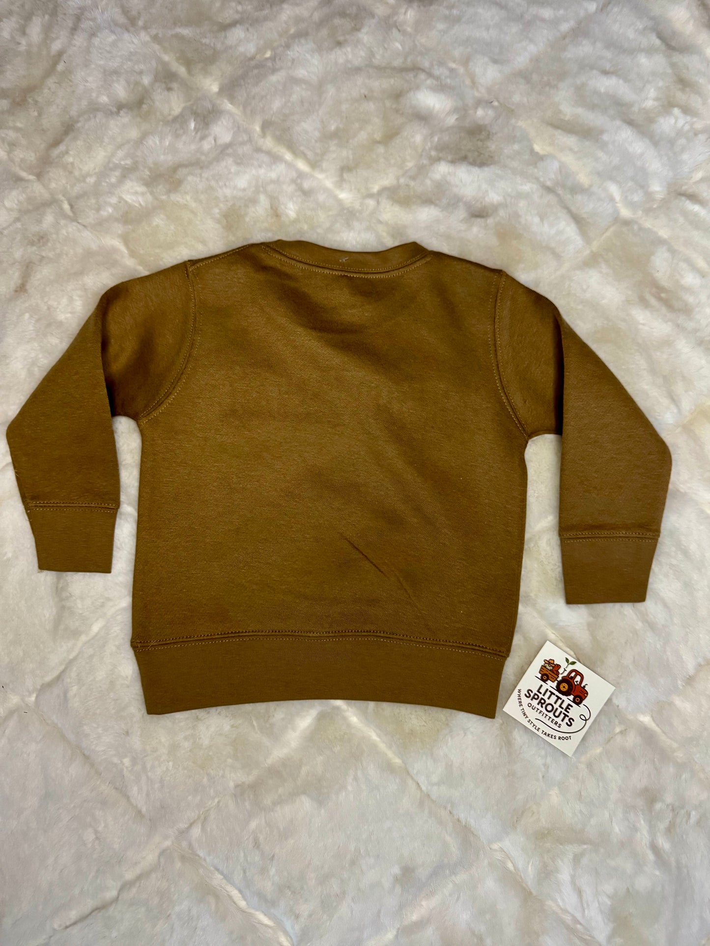 Howdy Sparkle Patch Sweatshirt