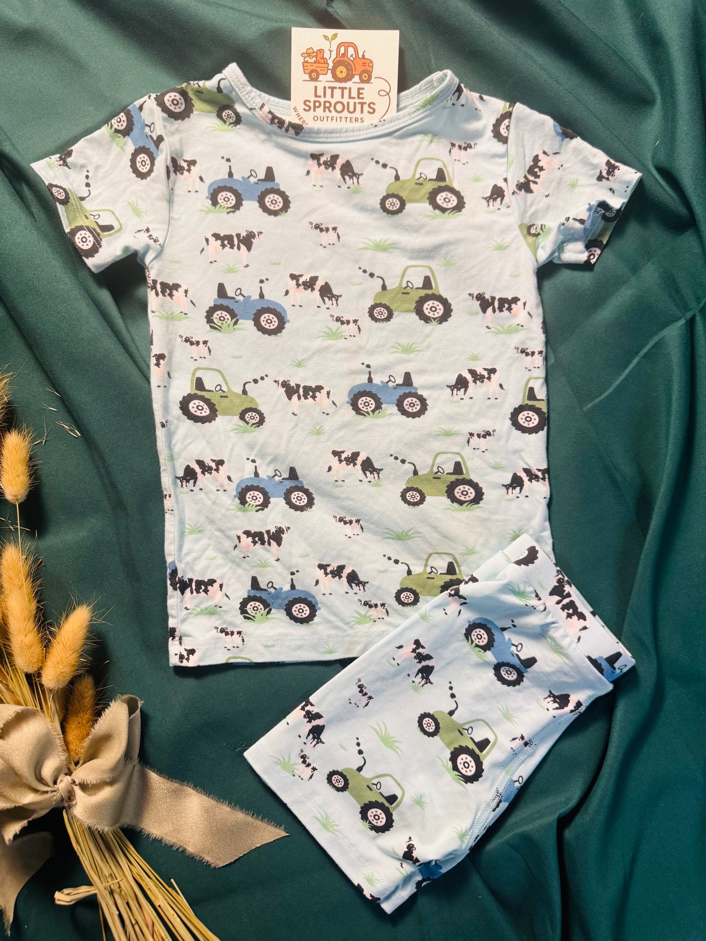 Farmer Blue Bamboo 2pc Pajama Set | Boys