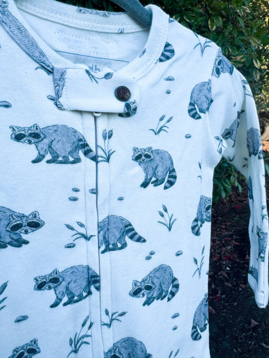 Raccoon Organic Cotton Zip Pajamas