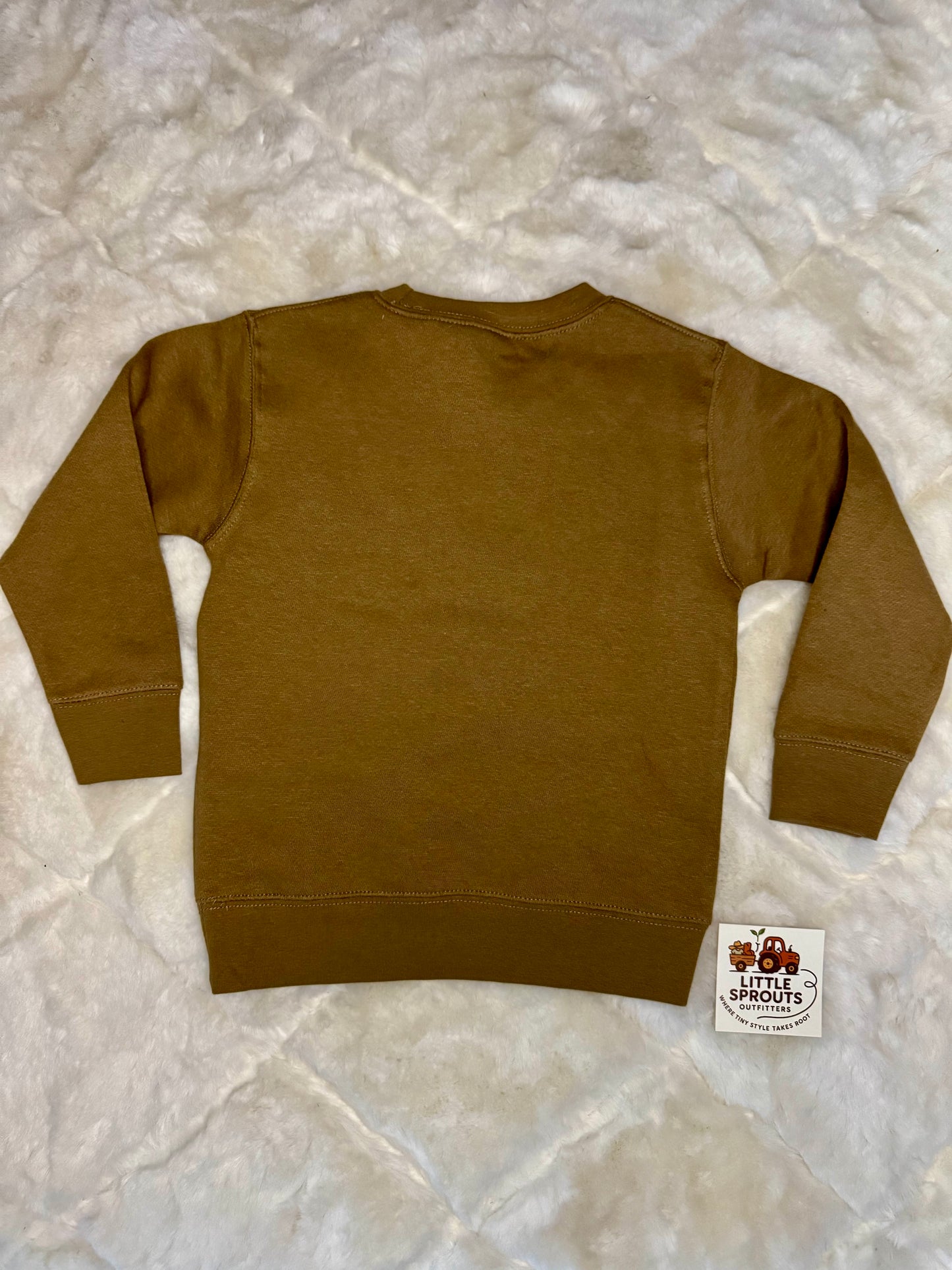 Howdy Graphic Sweatshirt