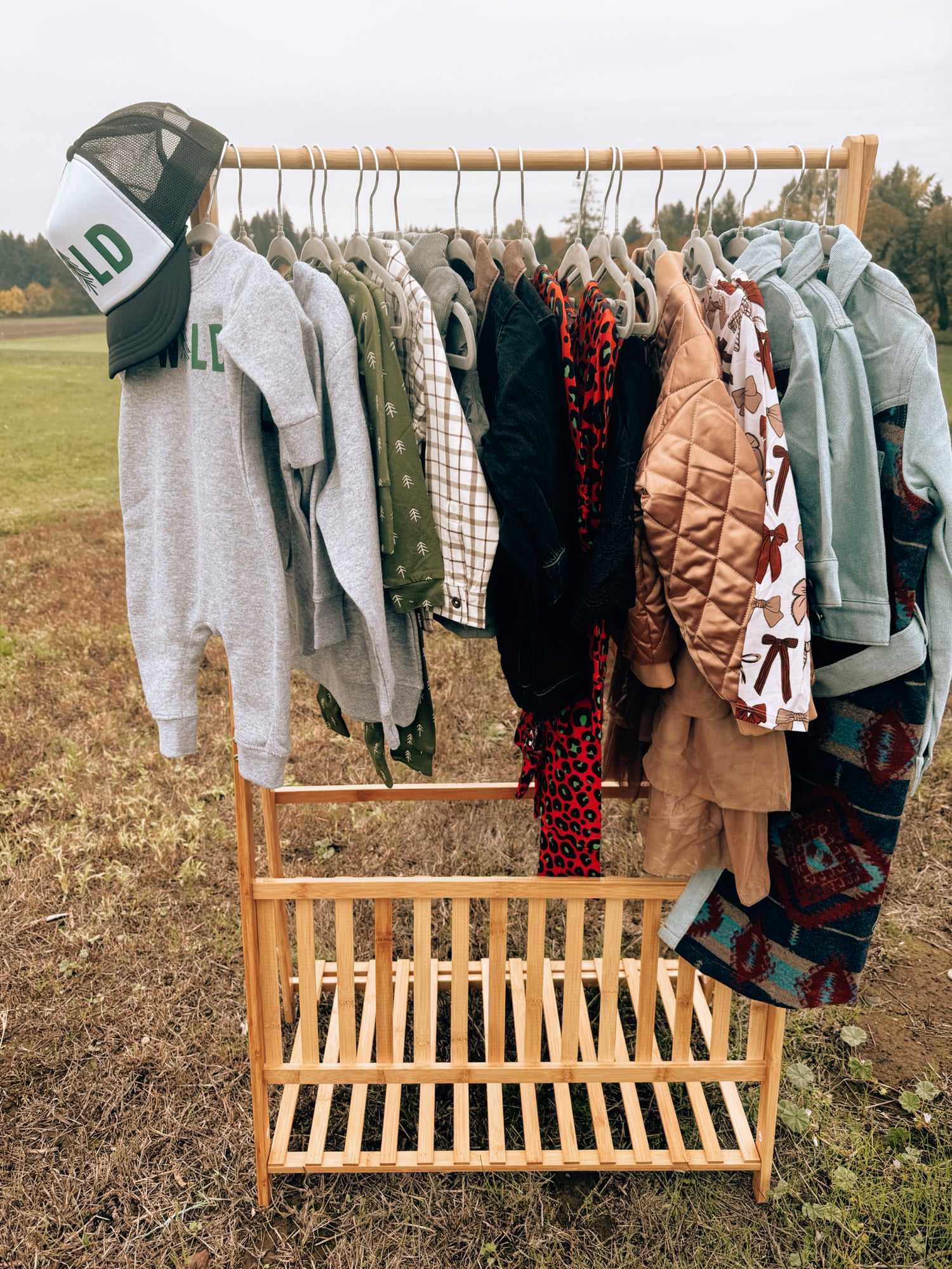 Frosted Fields ❄️