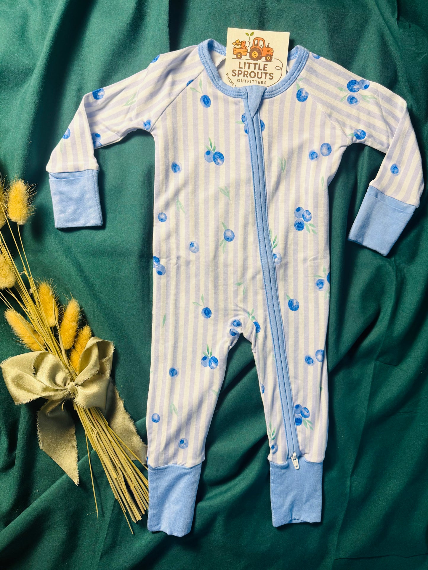 Blueberry Bamboo Zipper Romper