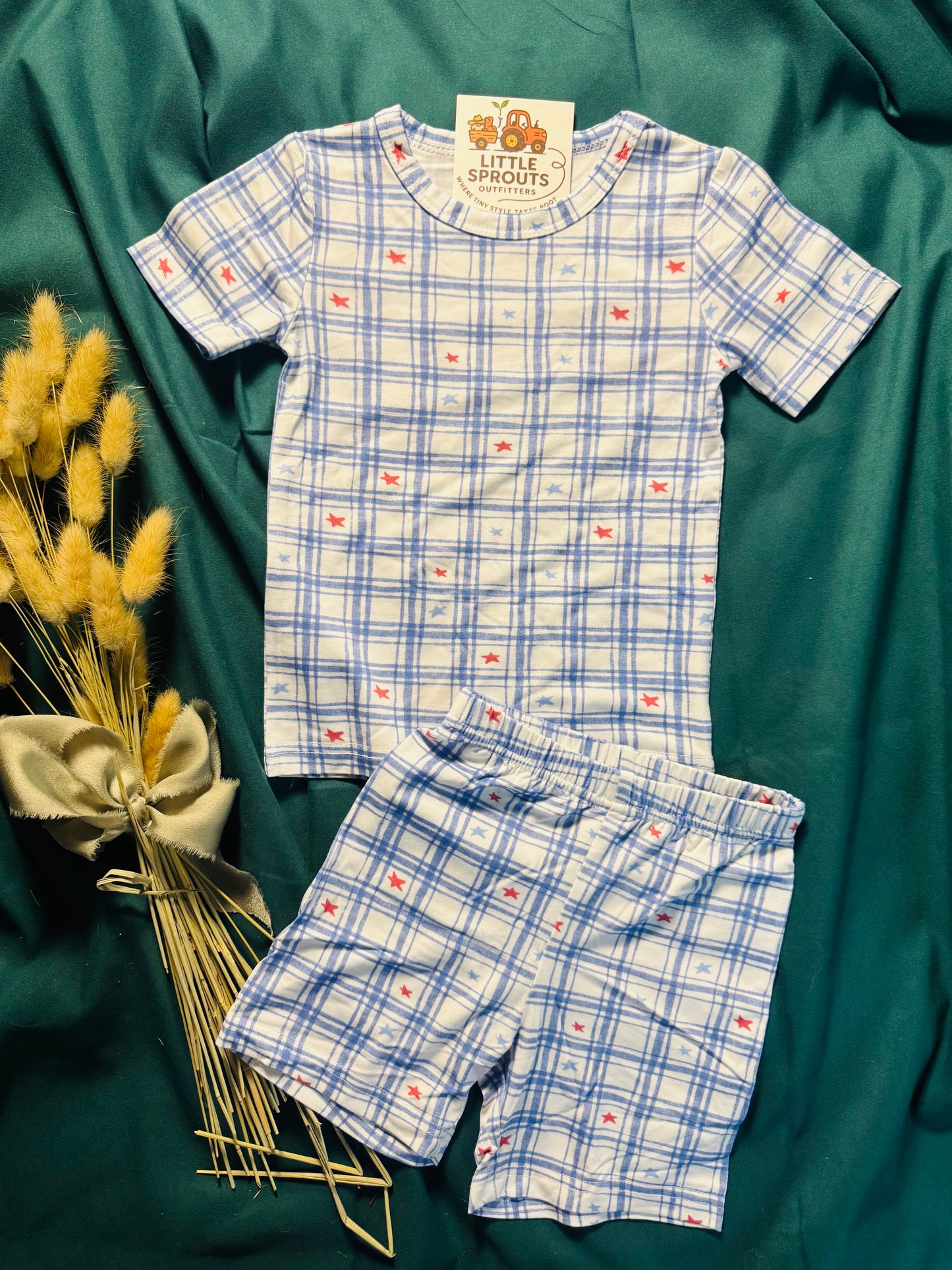 Blue Gingham Star Bamboo 2pc Set | Boys