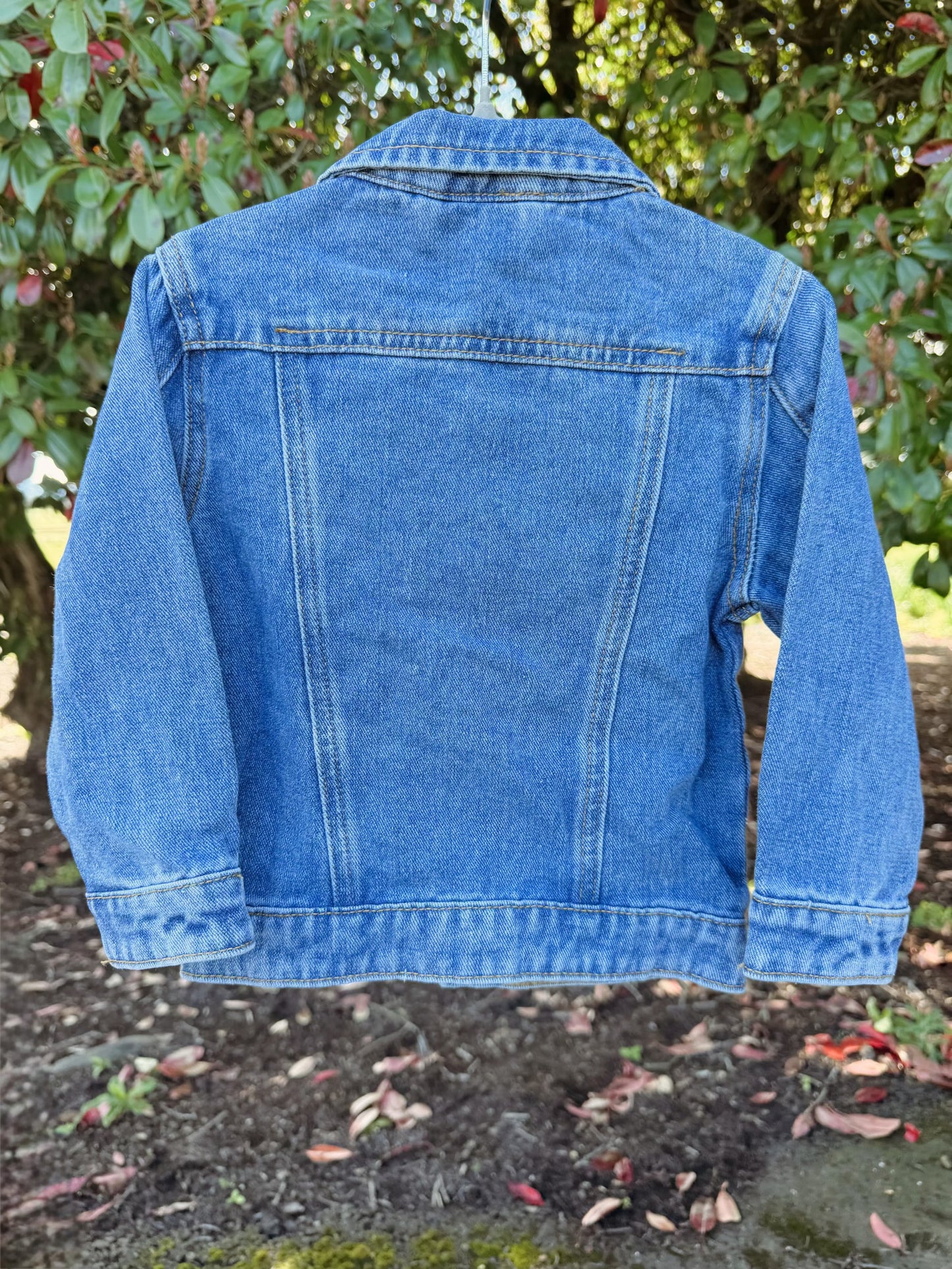Western Denim Jacket