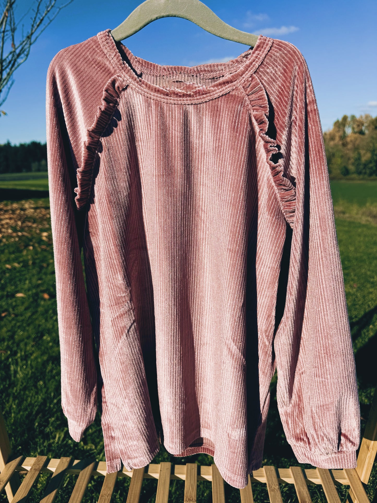 Mauve Velvet Top