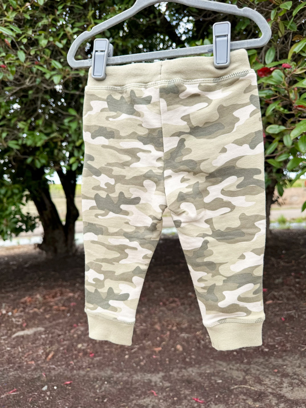 Organic French Terry Camo Jogger Pants | Boys