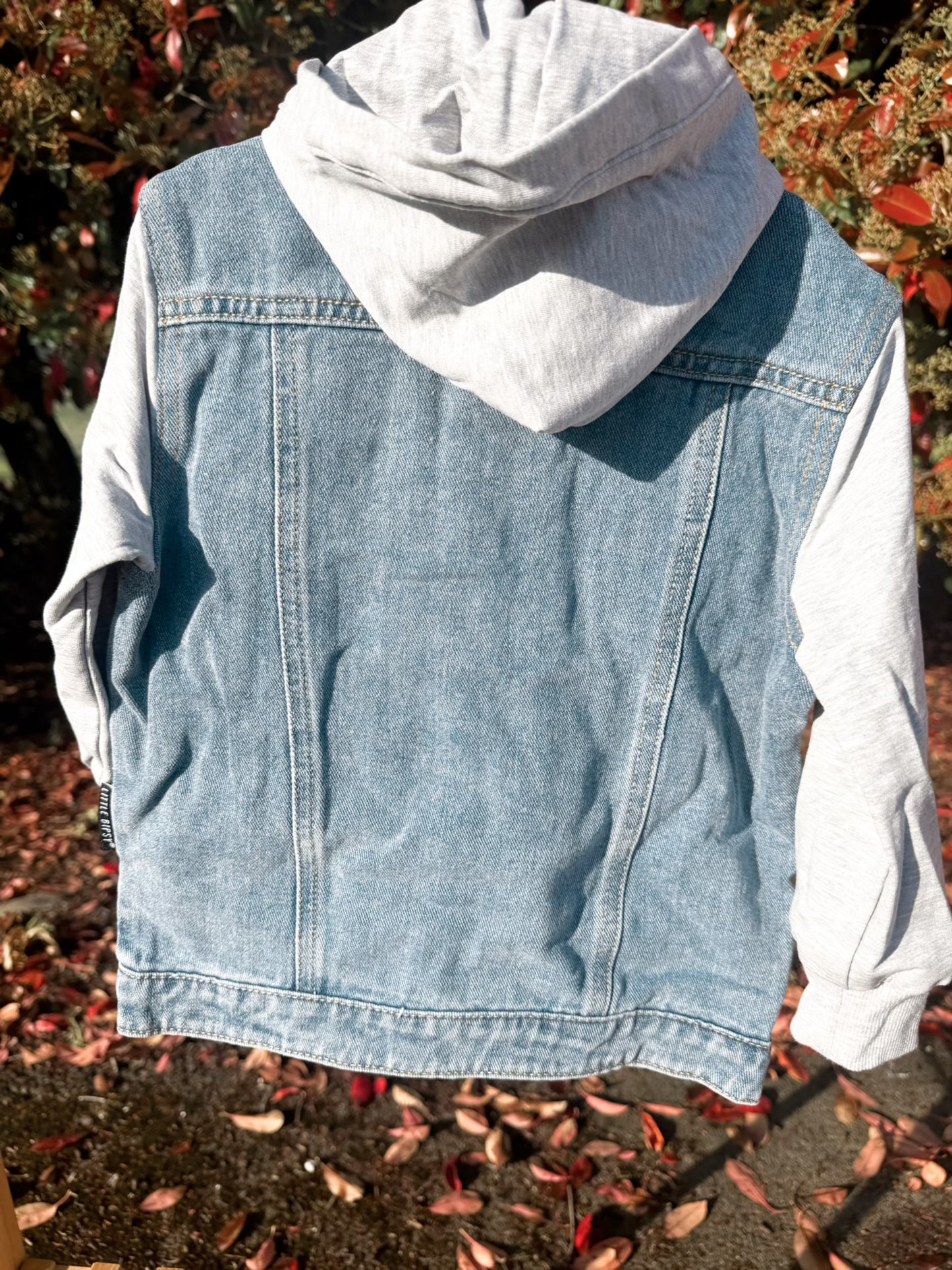 Homestead Hooded Denim Jacket