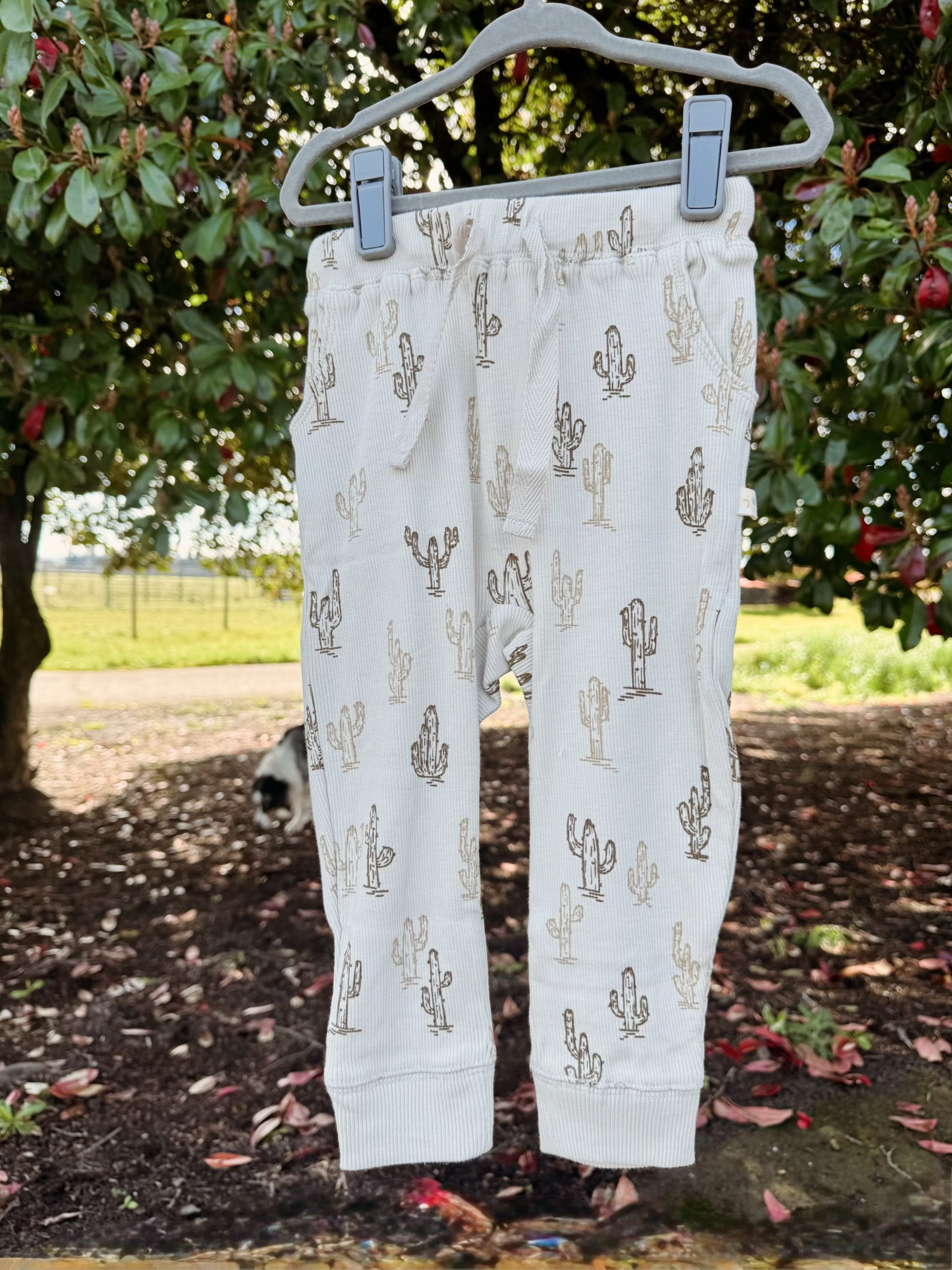 Cream harem jogger pants with brown cactus pattern with a drawstring hanging on a hanger. 