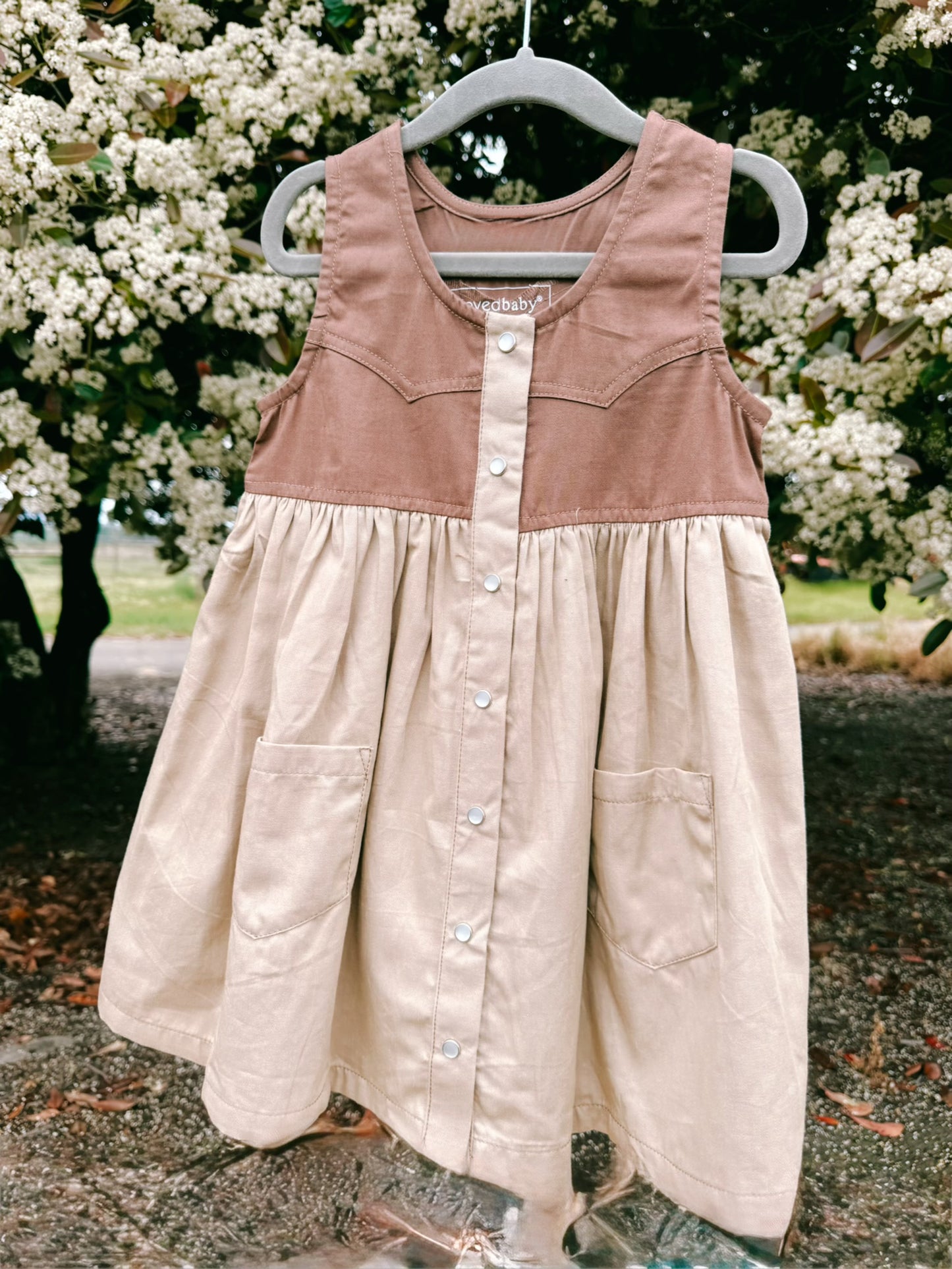 Ranchy Pearl Snap Dress