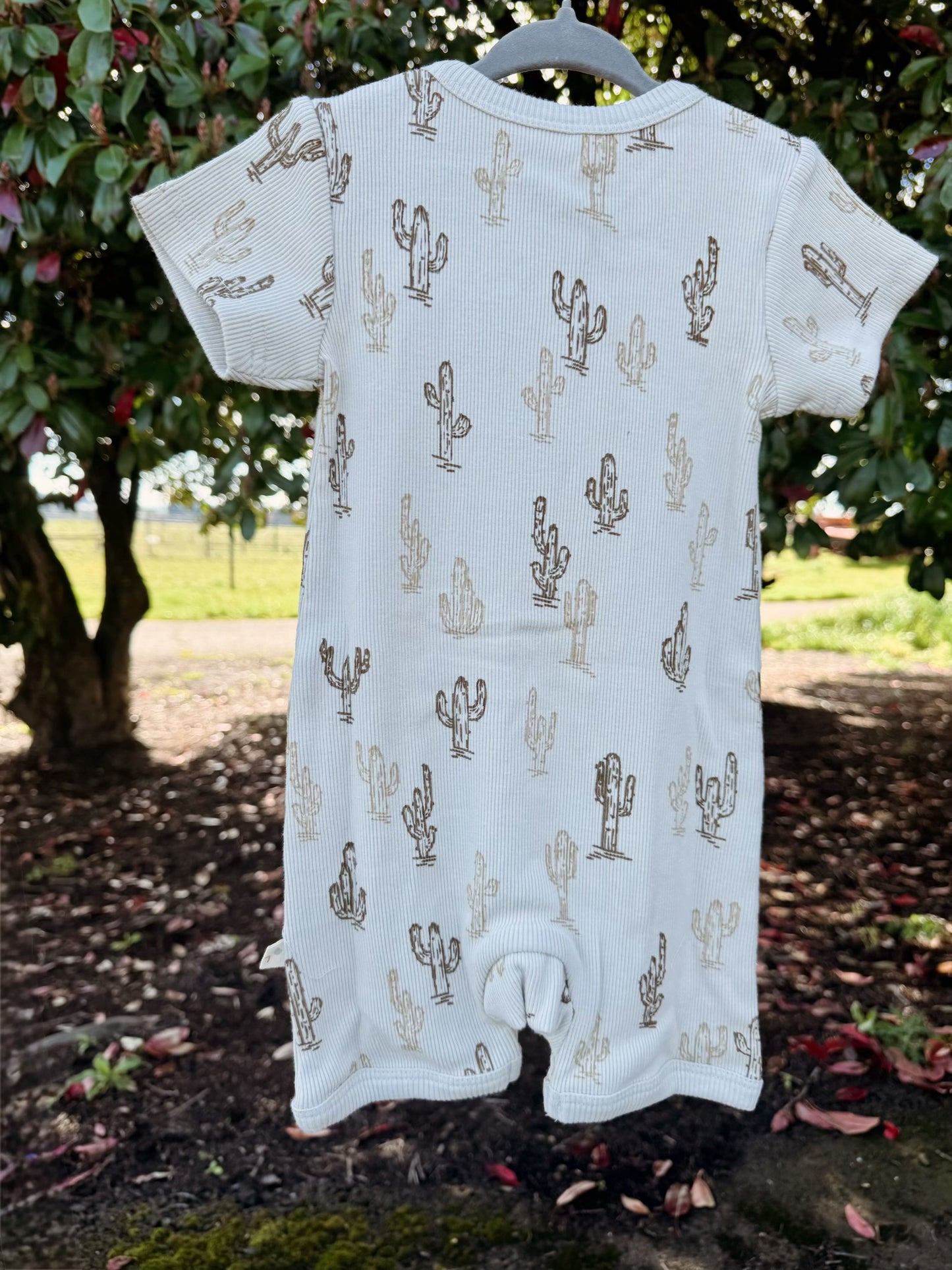Cactus Short Zip Romper