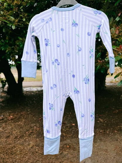 Blueberry Bamboo Zipper Romper