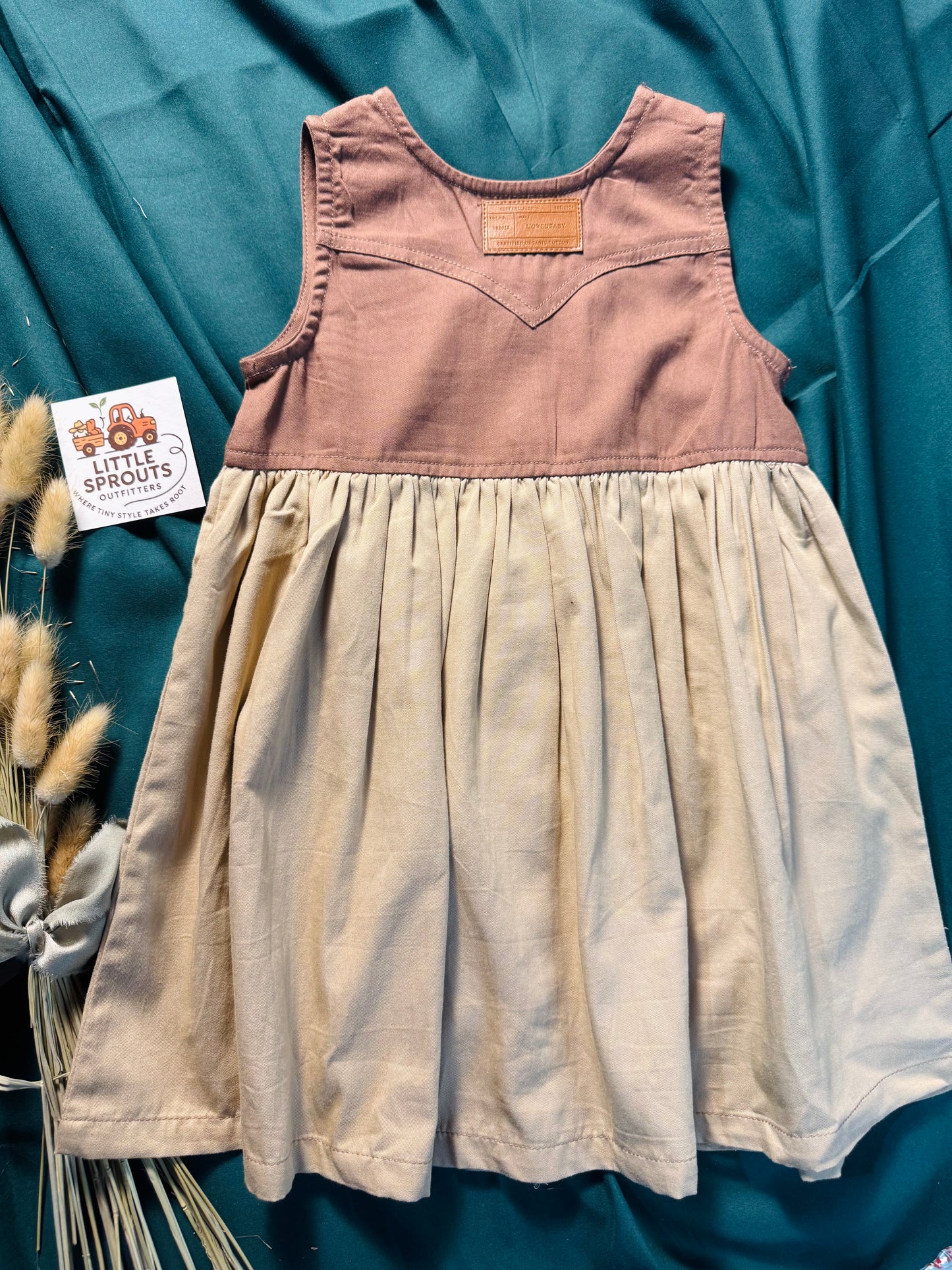 Ranchy Pearl Snap Dress