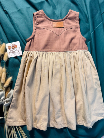 Ranchy Pearl Snap Dress