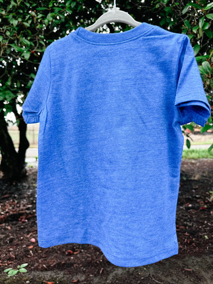 Western Raccoon Blue Graphic Tee
